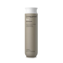 NO FRIZZ SHAMPOO (SHAMPOO ANTI-FRIZZ)